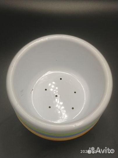 Горшок низкий для посадки трейллерных сортов