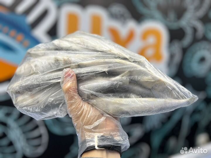 Рыба мойва, килька, салака. Доставка по городу