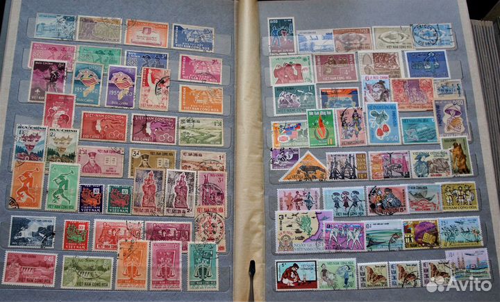 Вьетконг, Северный и Южный Вьетнам