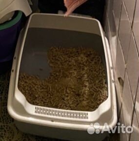 Когтеточка,лоток,лежанка бу