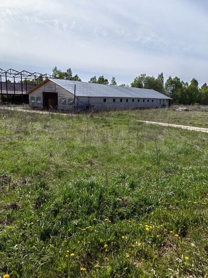 Участок 4,5 га (СНТ, ДНП)