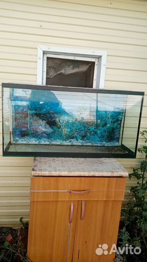 Аквариум