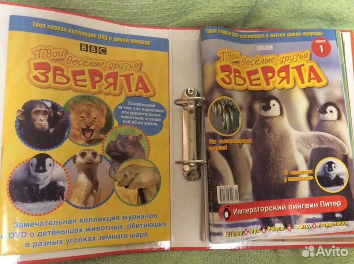 Коллекция BBC: Твои веселые друзья зверята