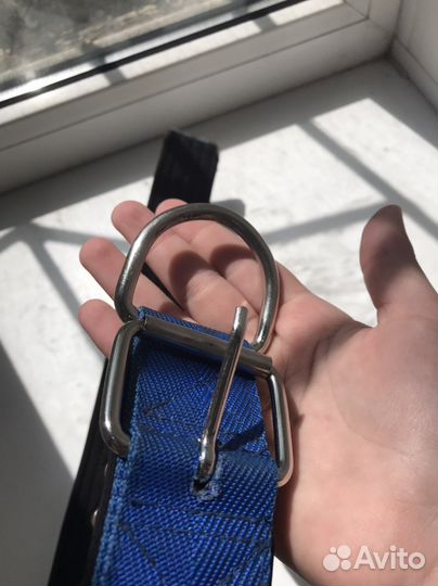 Ошейник для собак