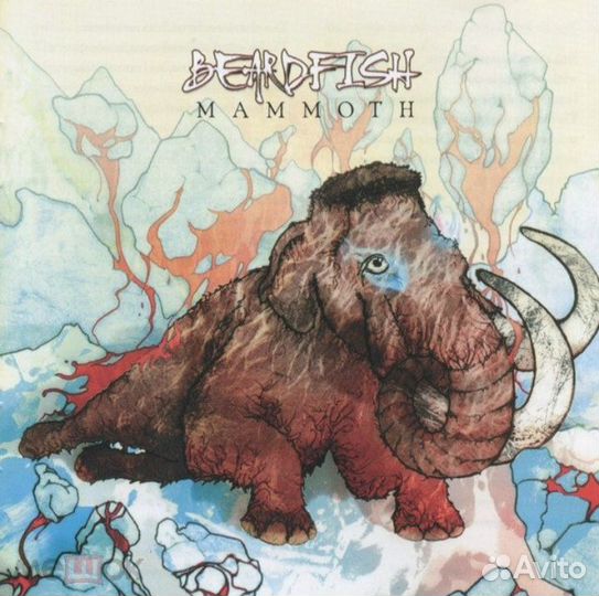 Beardfish, Watchtower, Death, Opeth диски