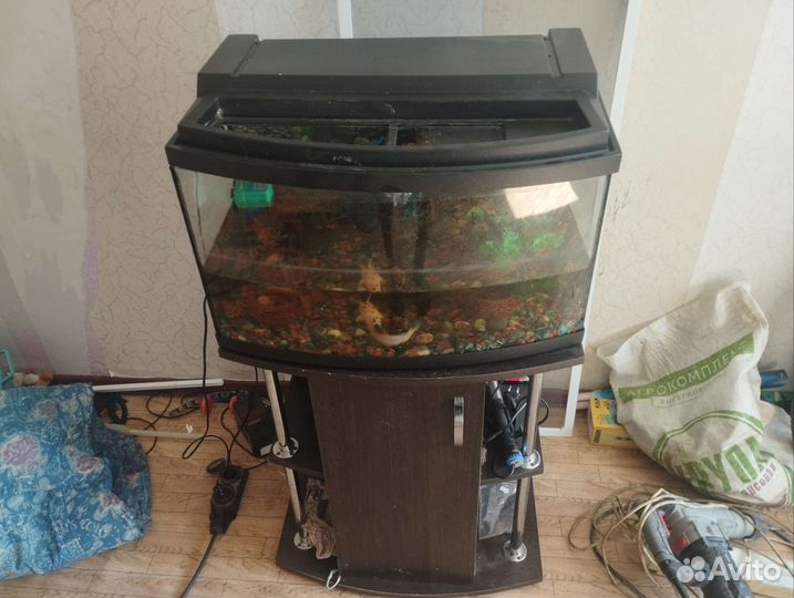 Аквариум