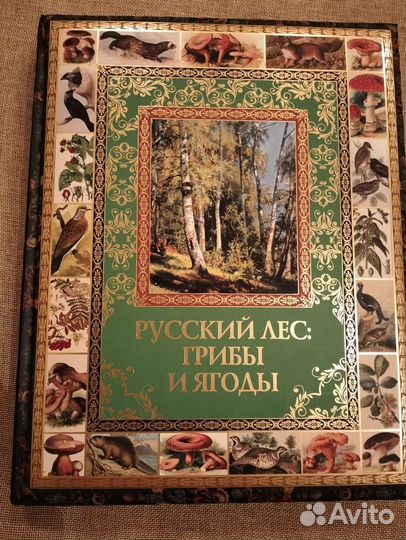 Подарочная книга русский лес: 