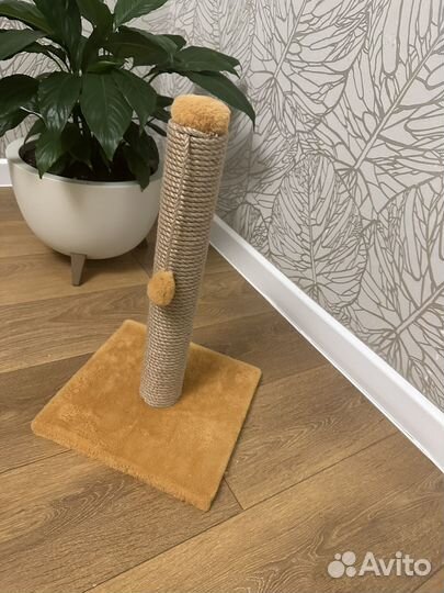 Когтеточка