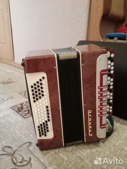 Аккордеон 