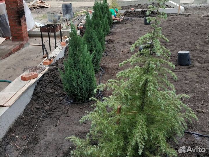 Монтаж автополива, установка системы автополива