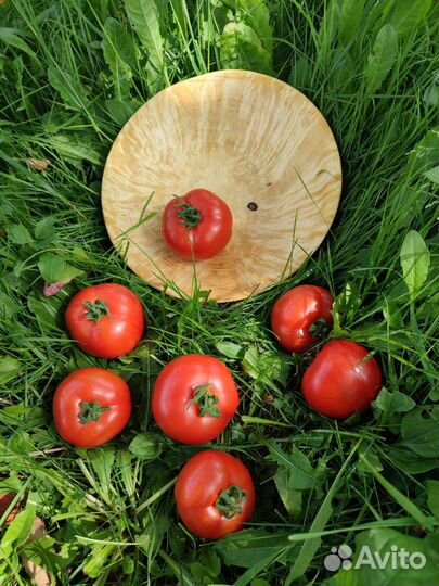 Тарелка из сувеля