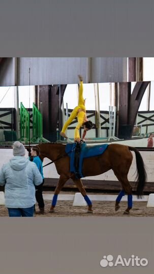 Костюм для воздушной гимнастики 134