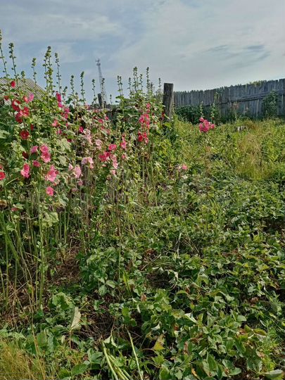 Дом 100 м² на участке 30 сот.