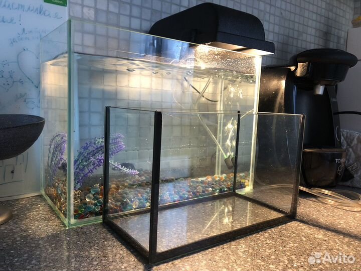 Аквариум