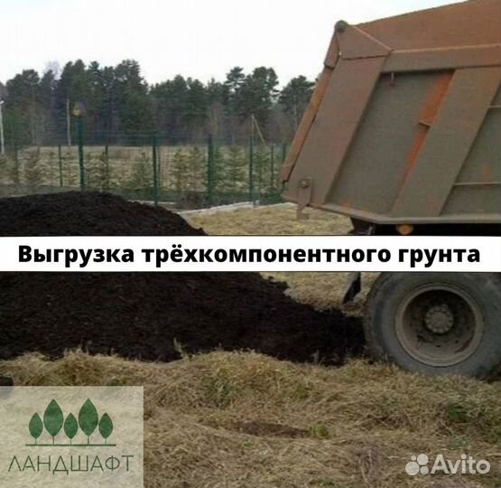 Теневыносливый рулонный газон Мытищи