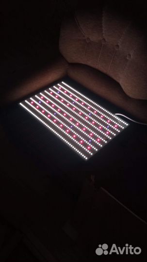 Quantum Board 240 W (Квантум Борд 240 Ватт )