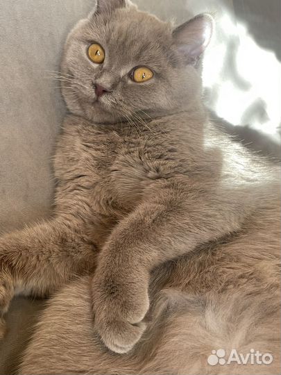 Вязка
