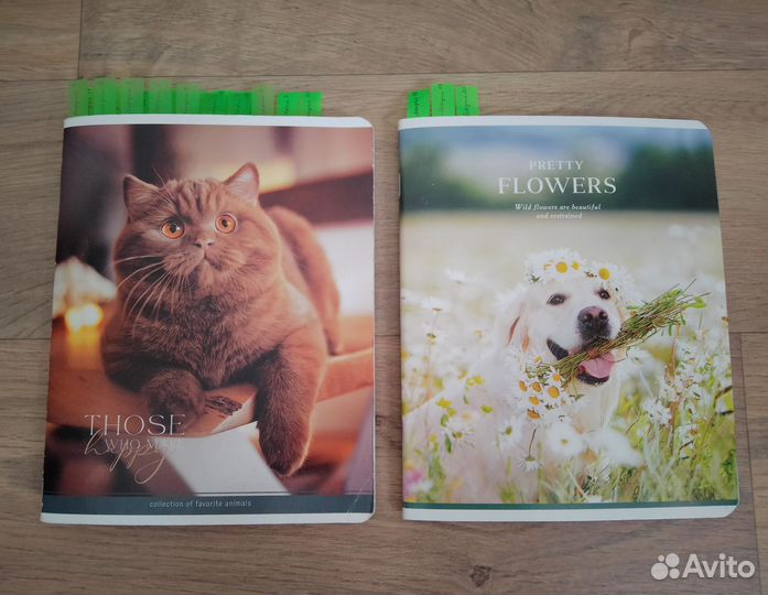 Тетради с лекциями по философии