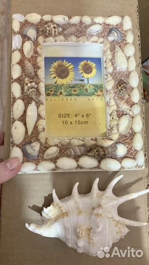Ракушки и фото рамка