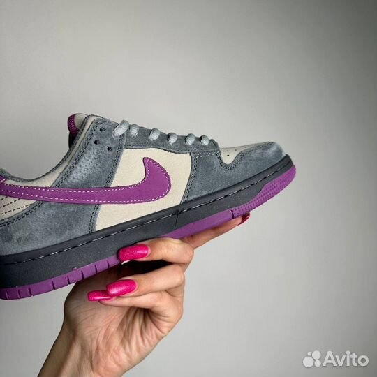 Nike SB Dunk Low Purple Pigeon