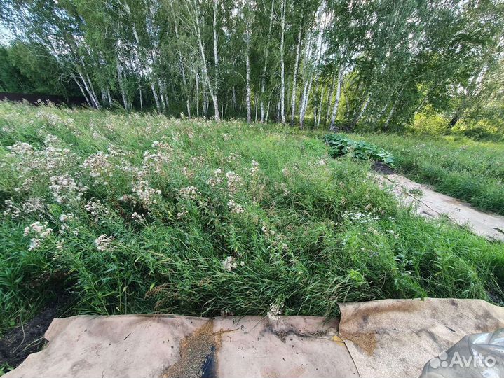Услуги скосить траву