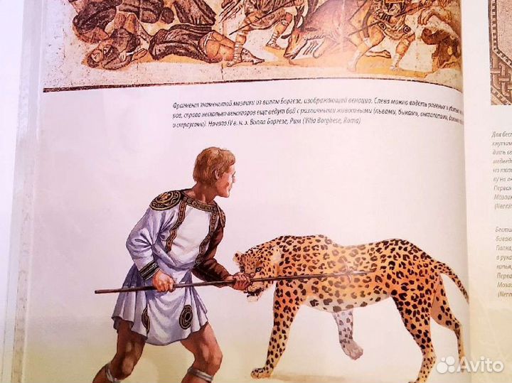 Книга. Гладиаторы