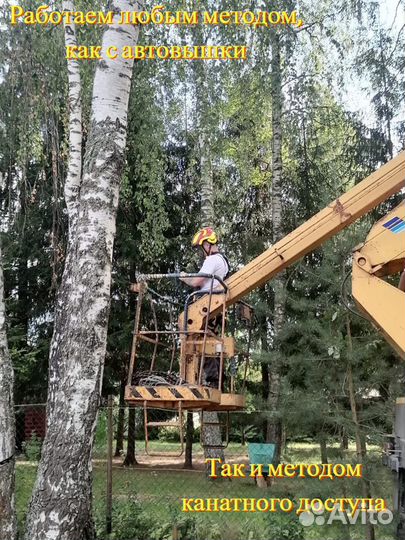 Расчистка участка Спил деревьев Удаление пней