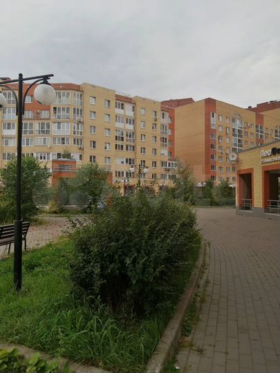 Офис, 100 м²
