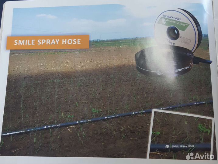 Голден спрей