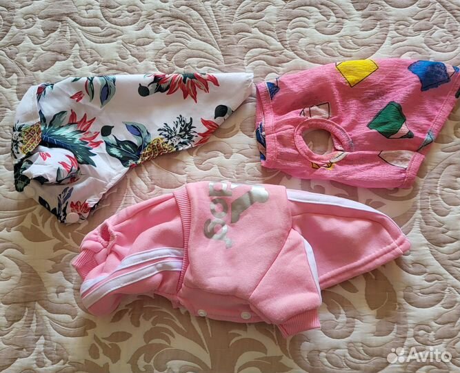 Одежда для собак