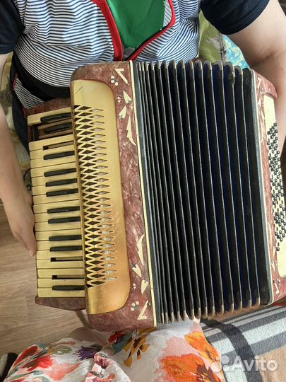 Аккордеон