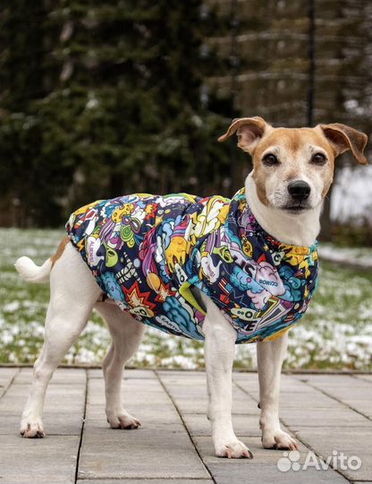 Одежда для собак