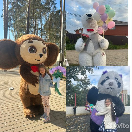 Белый мишка, панда, чебурашка на поздравление