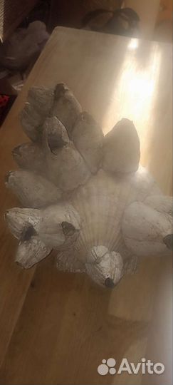 Раковины кораллы для аквариума