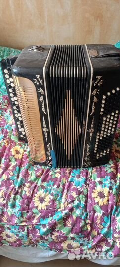 Гармонь Беларусь