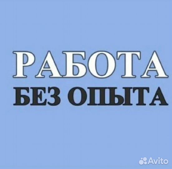 Мерчендайзер(Юг)