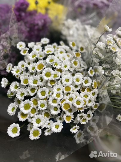 Живые цветы букеты розы