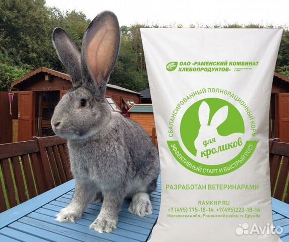 Пзк-91 для кроликов