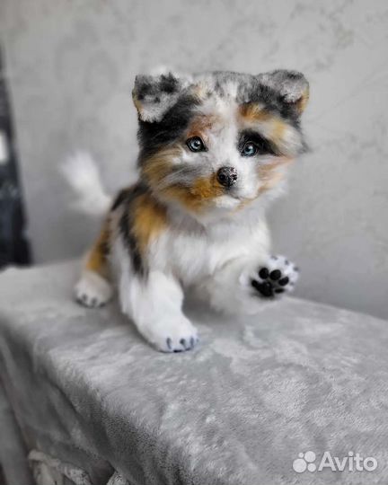 Реалистичный щенок аусси