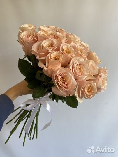 Розы Шиммер