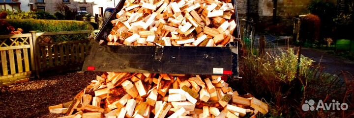 Дрова честные