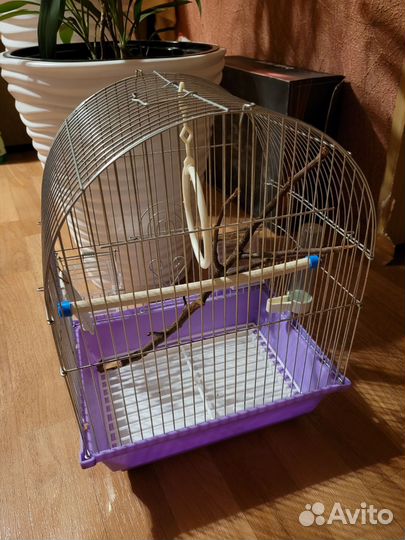 Клетка для попугая