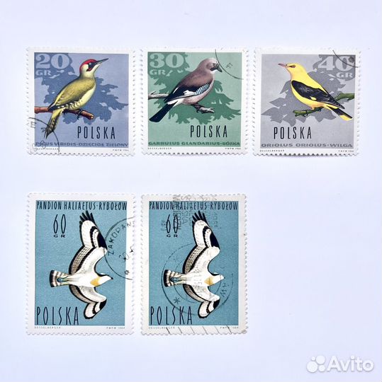 Почтовые марки Польша птицы