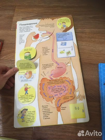 Книги для детей