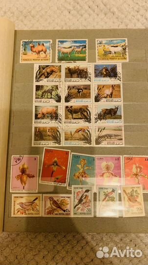 Альбом с марками разных стран