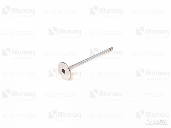 Выпускной клапан