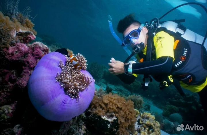 В Малайзию 10 нч от 3-4* завтрак