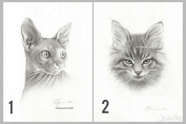 Картины графика 