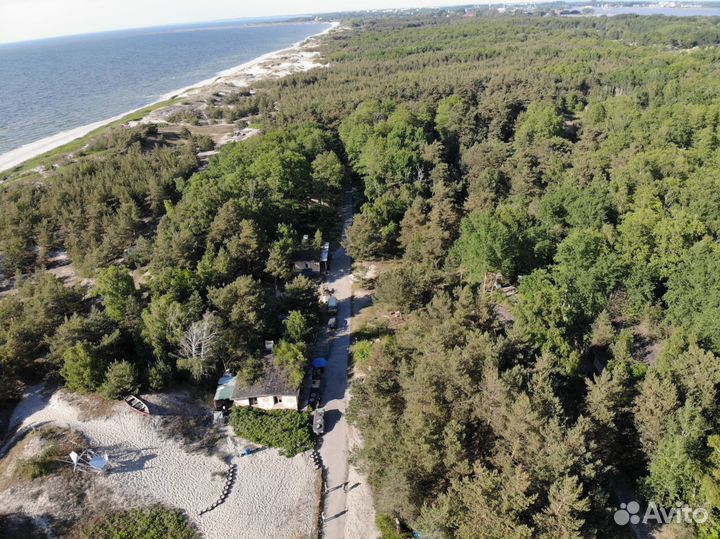 Организация мероприятий