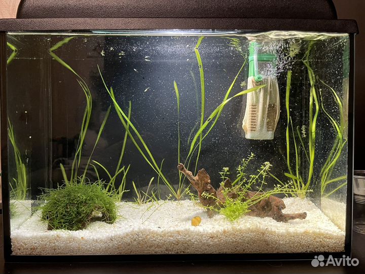 Аквариум